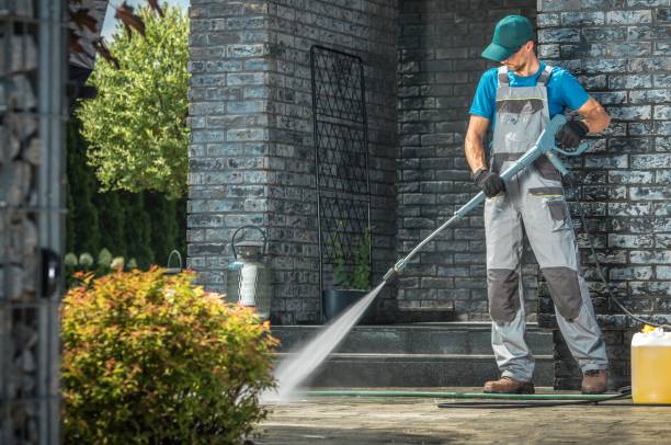 Animal Enclosure Cleaning in Maryville, IL