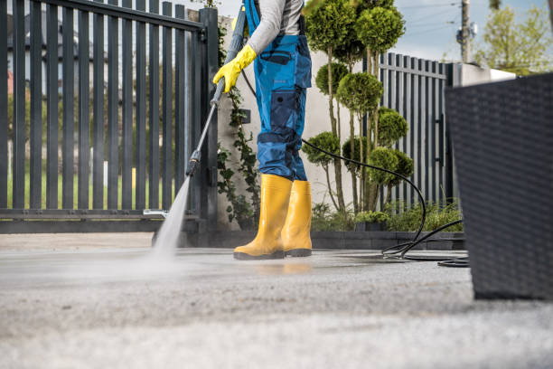 Best Animal Enclosure Cleaning  in Maryvle, IL